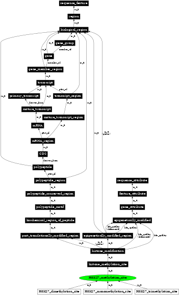 Graph image for SO:0001732