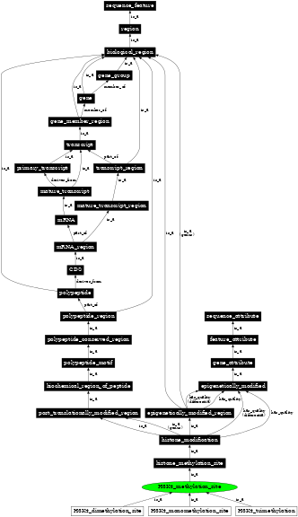 Graph image for SO:0001734