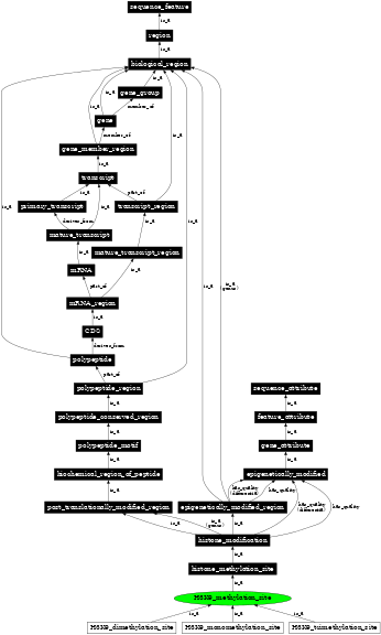 Graph image for SO:0001736