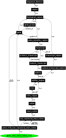 Graph image for SO:0001740