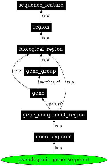 Graph image for SO:0001741