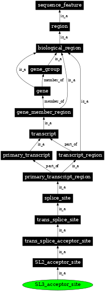 Graph image for SO:0001748