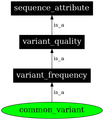 Graph image for SO:0001767