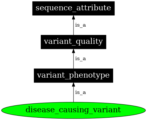 Graph image for SO:0001772