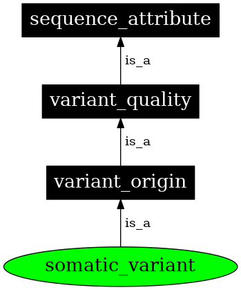 Graph image for SO:0001777