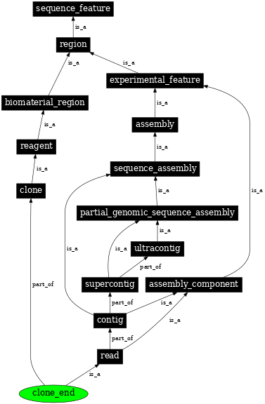 Graph image for SO:0001793