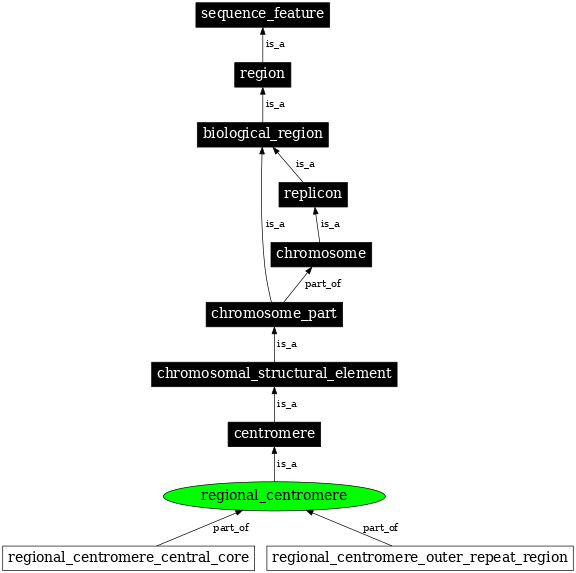 Graph image for SO:0001795