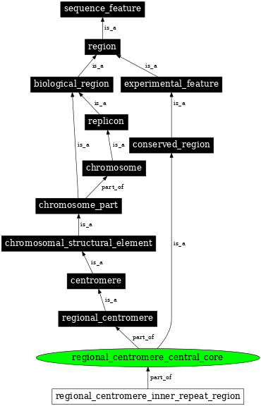 Graph image for SO:0001796