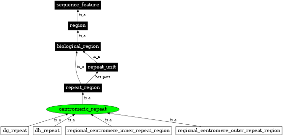 Graph image for SO:0001797