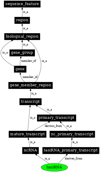 Graph image for SO:0001800