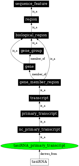 Graph image for SO:0001801