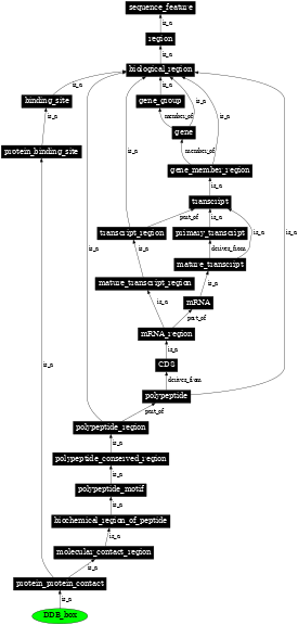 Graph image for SO:0001804