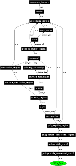 Graph image for SO:0001807