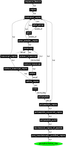 Graph image for SO:0001811