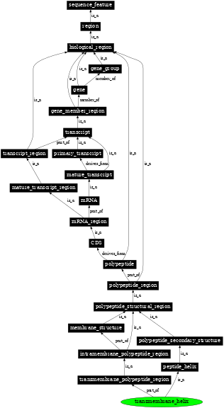 Graph image for SO:0001812