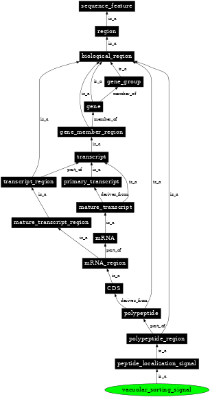 Graph image for SO:0001813