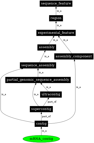 Graph image for SO:0001829