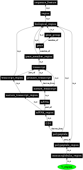 Graph image for SO:0001833