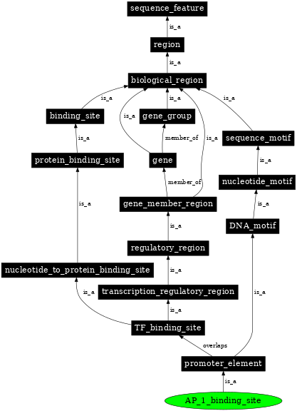 Graph image for SO:0001842