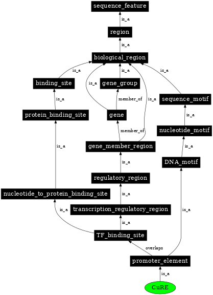 Graph image for SO:0001844