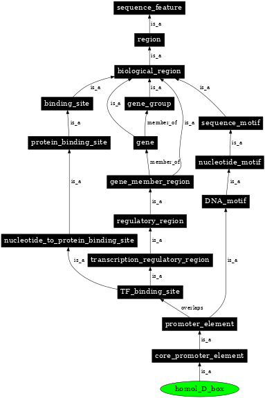 Graph image for SO:0001848