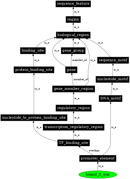 Graph image for SO:0001849