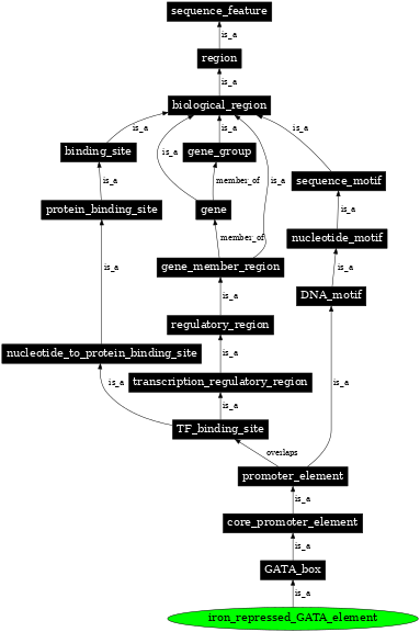 Graph image for SO:0001851