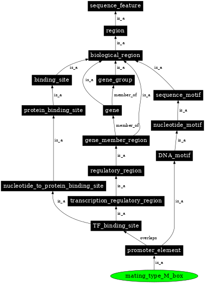 Graph image for SO:0001852