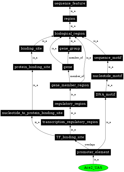 Graph image for SO:0001857