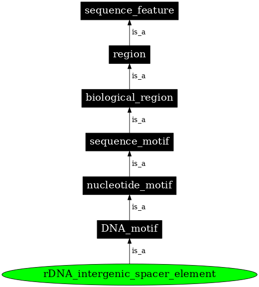 Graph image for SO:0001860