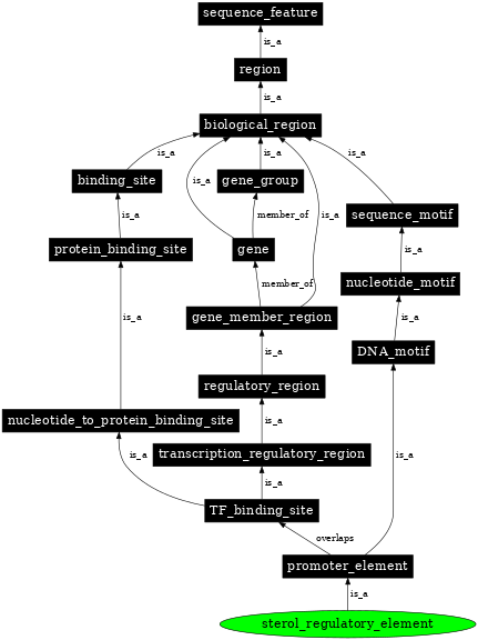 Graph image for SO:0001861