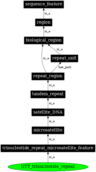 Graph image for SO:0001863