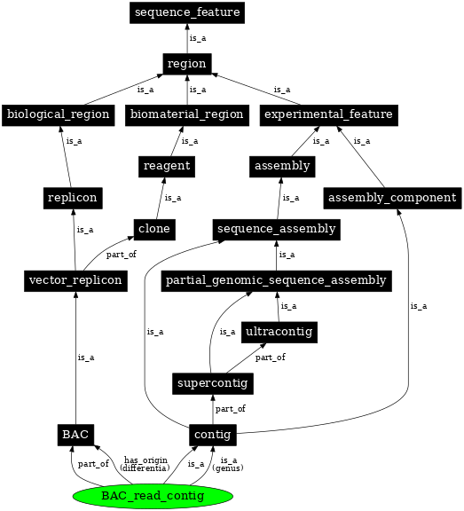 Graph image for SO:0001866