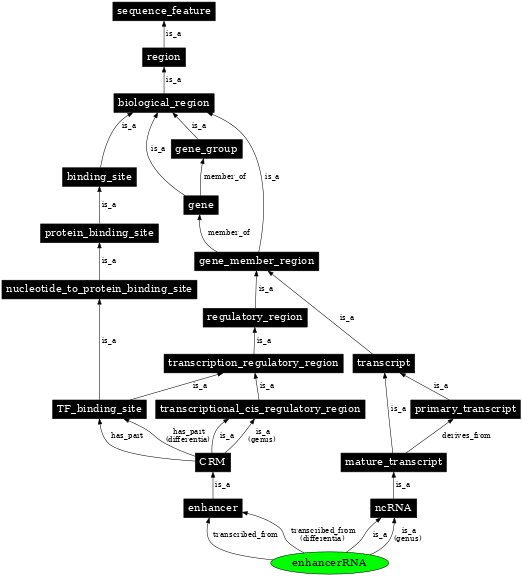 Graph image for SO:0001870