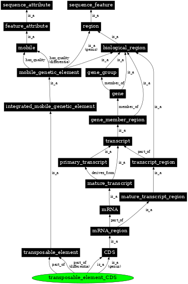 Graph image for SO:0001896