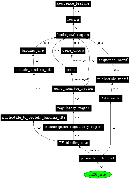 Graph image for SO:0001900