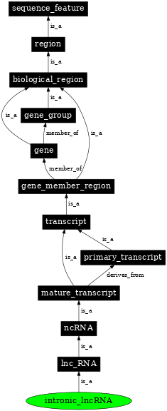 Graph image for SO:0001903