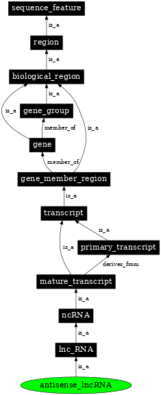 Graph image for SO:0001904