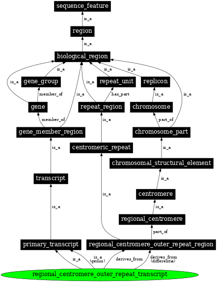 Graph image for SO:0001905