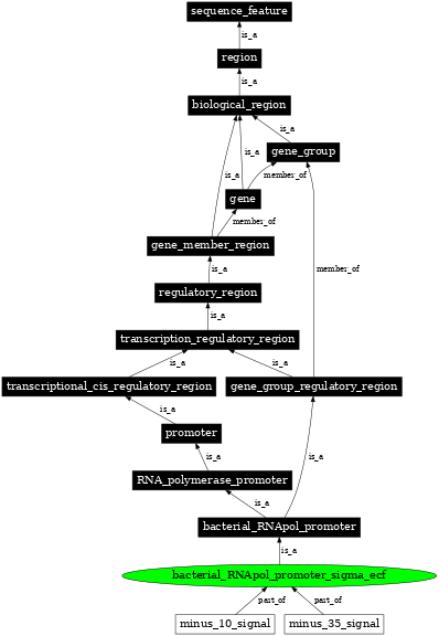 Graph image for SO:0001913