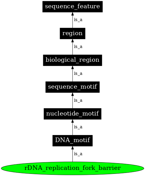 Graph image for SO:0001914