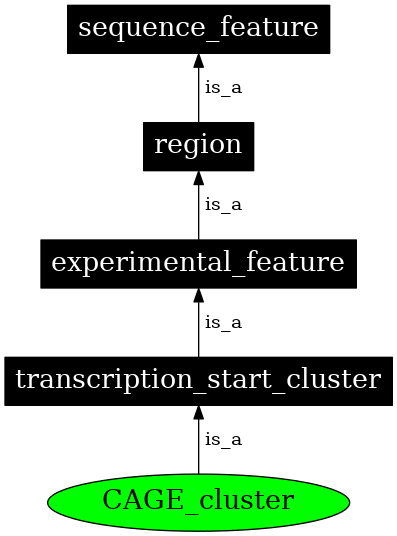 Graph image for SO:0001917