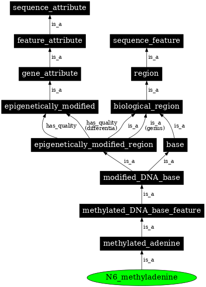 Graph image for SO:0001920