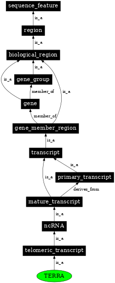 Graph image for SO:0001923