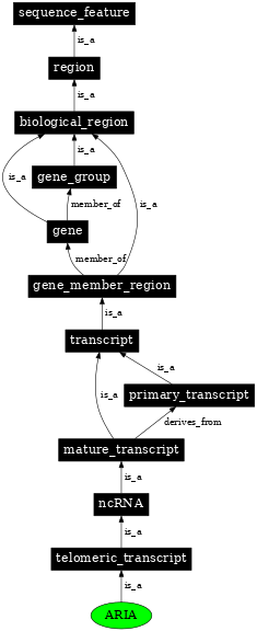 Graph image for SO:0001925