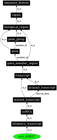 Graph image for SO:0001926