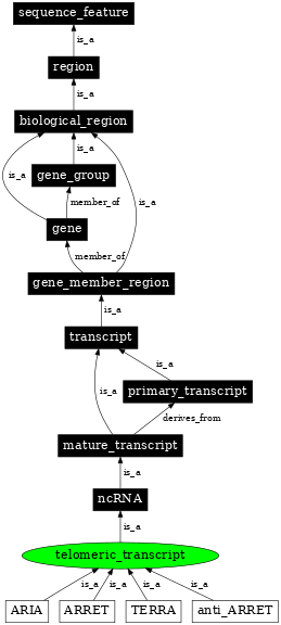 Graph image for SO:0001927