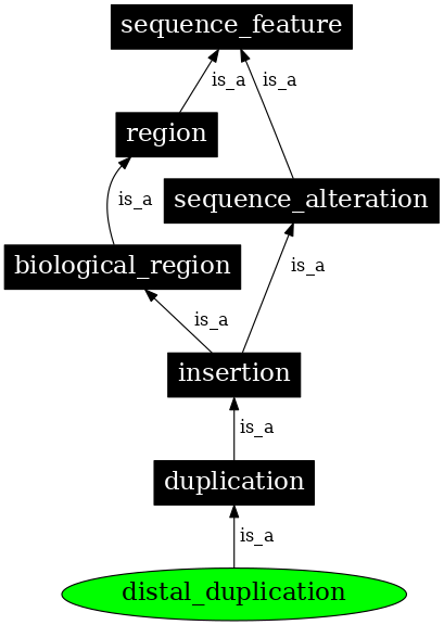 Graph image for SO:0001928