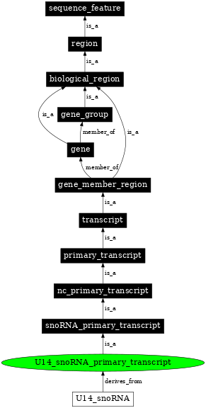 Graph image for SO:0005837