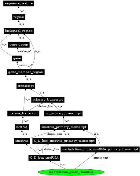 Graph image for SO:0005841